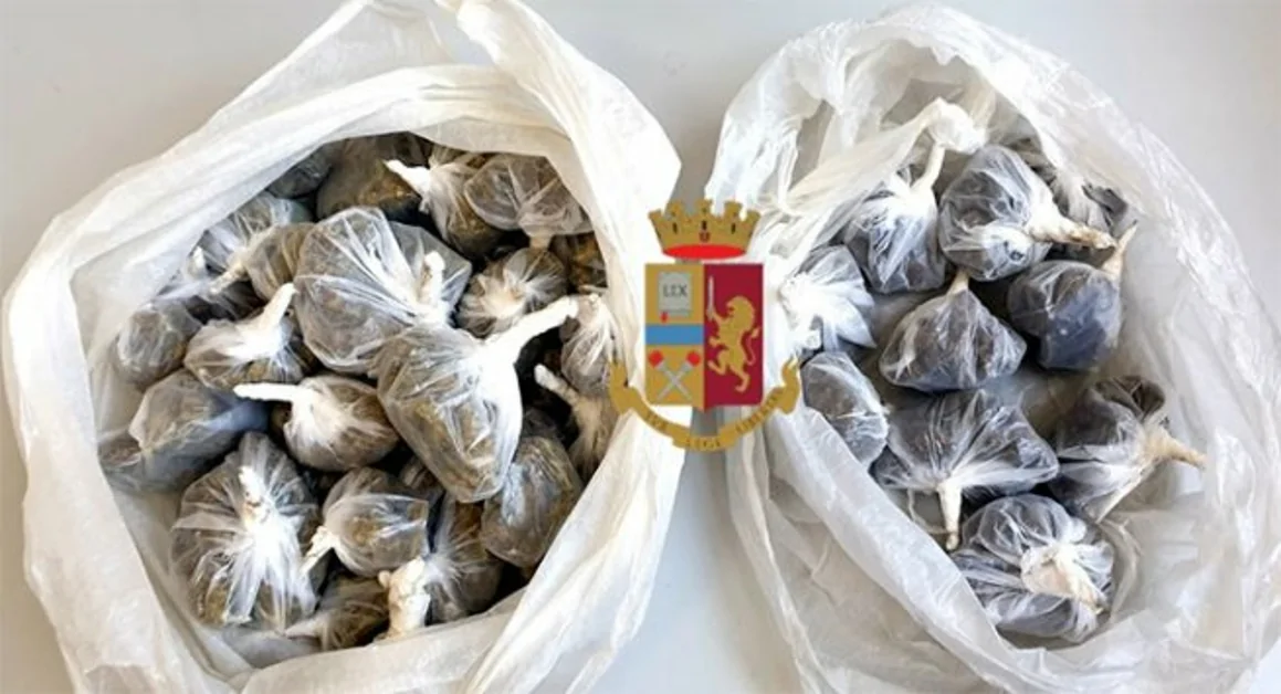 Pompei - Trovati circa 240 grammi di marijuana in un esercizio commerciale, arrestato titolare 54enne