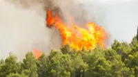 Il Sud brucia, tre vittime per gli incendi in Calabria e Sicilia