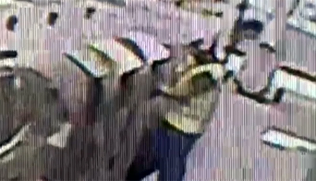 Postino filmato mentre getta la corrispondenza in un contenitore  per la raccolta differenziata