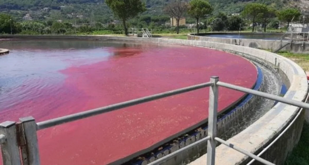 Allarme depuratore Scafati: troppi scarti dalle lavorazioni di pomodori