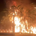 Napoli - Divampa un incendio in Villa Comunale, in fiamme tre palme