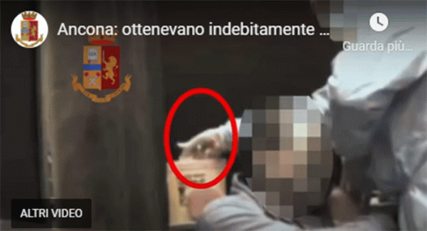 Green Pass illegali, 50 indagati. Infermiere "fingeva" di iniettare il vaccino per poi gettarlo