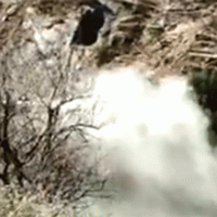 Giornata epocale alla Camera: la tutela dell'ambiente entra in Costituzione