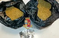 Napoli - Scampia, in casa aveva oltre 7 chili di marijuana: arrestato