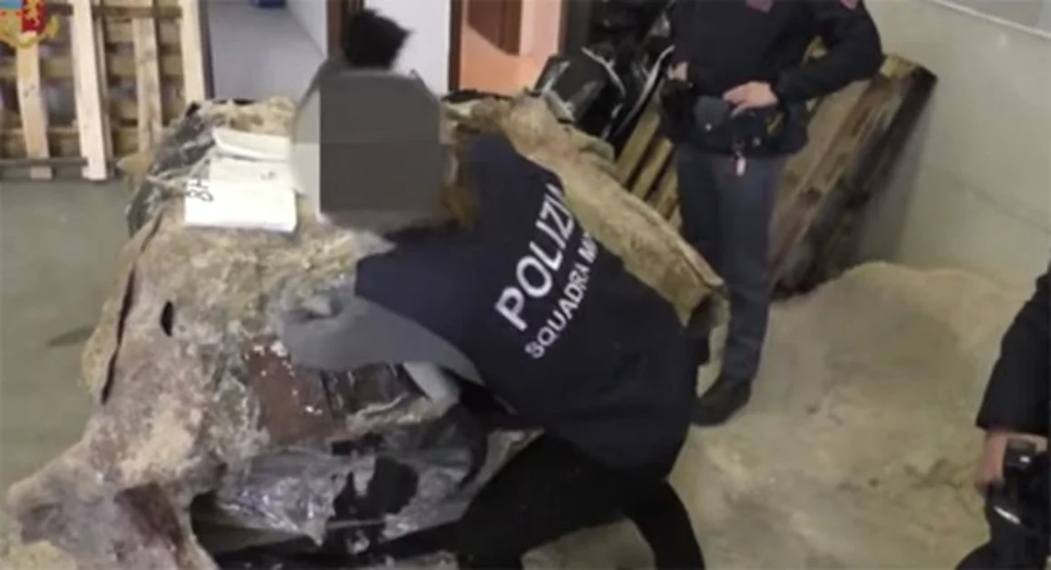 Droga da Santo Domingo in Italia, sequestrati oltre 750 kg di cocaina. Cinque gli arresti