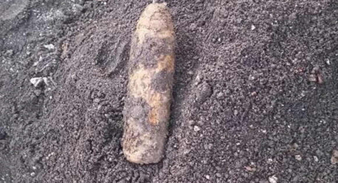 Palma Campania - Residuato bellico scoperto durante bonifica dei lagni