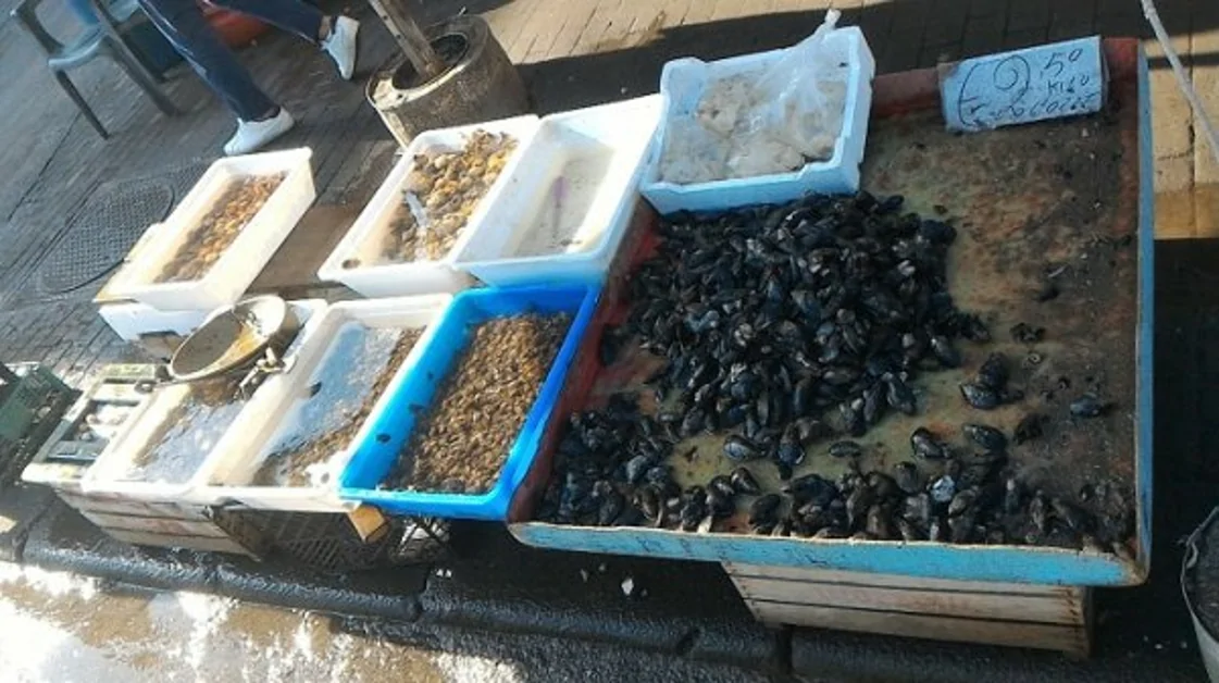 Ercolano - Prodotti ittici privi di tracciabilità, 40 kg sequestrati in una attività commerciale