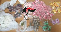 Spaccio di droga nel Napoletano, pusher beccato con oltre 1.400 dosi di droga