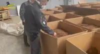 Sigarette "false" scoperte dalla GdF nel Milanese: arrestati due napoletani