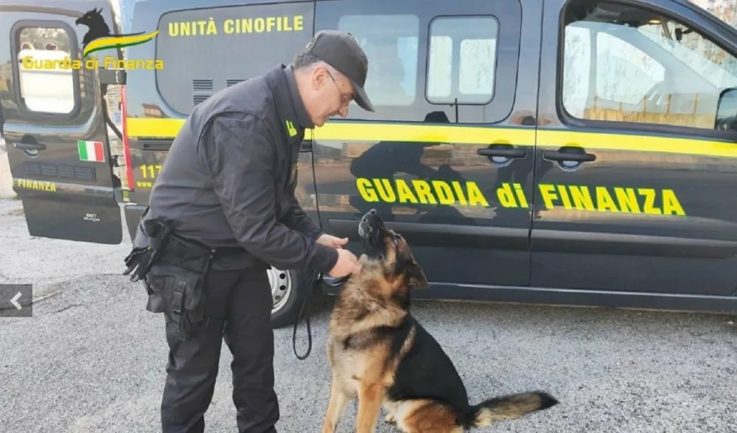 Torre Annunziata - Droga in auto, tre giovani arrestati dalla GdF