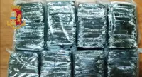 Napoli - Oltre 9 kg di hashish nascosti in box abbandonati