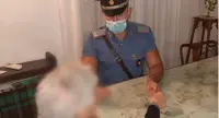 Gragnano - Nonnina sviene in casa, salvata dai carabinieri