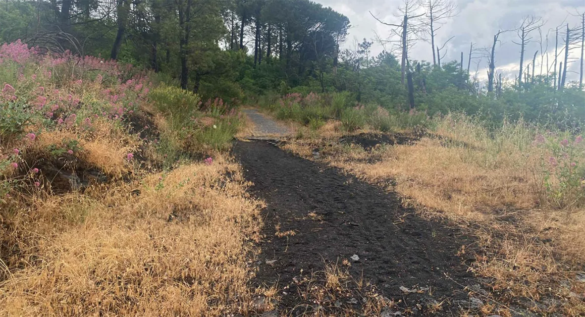 Boscotrecase - Un percorso turistico e sostenibile per unire il centro cittadino al Vesuvio
