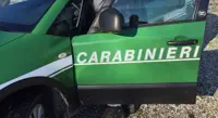 Castellammare di Stabia - Reati ambientali, sequestrate due attività