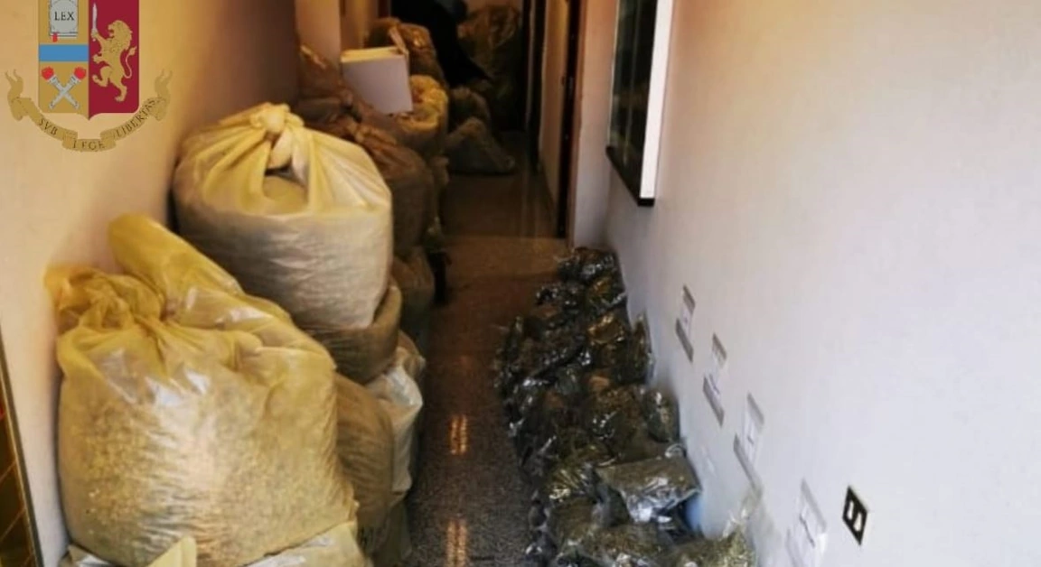 Oltre mezza tonnellata di marijuana in casa, un arresto in Calabria