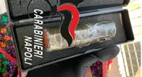 Napoli - Bomba e cocaina in un'aiuola, la scoperta dei carabinieri