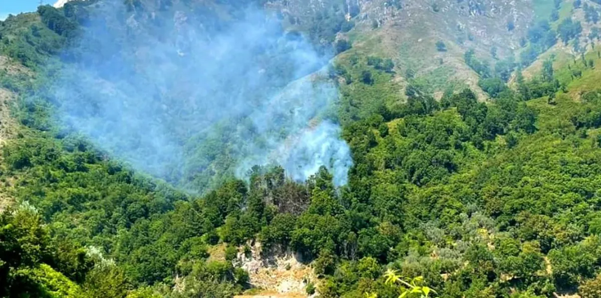 Incendio sul Vesuvio, Protezione Civile in azione
