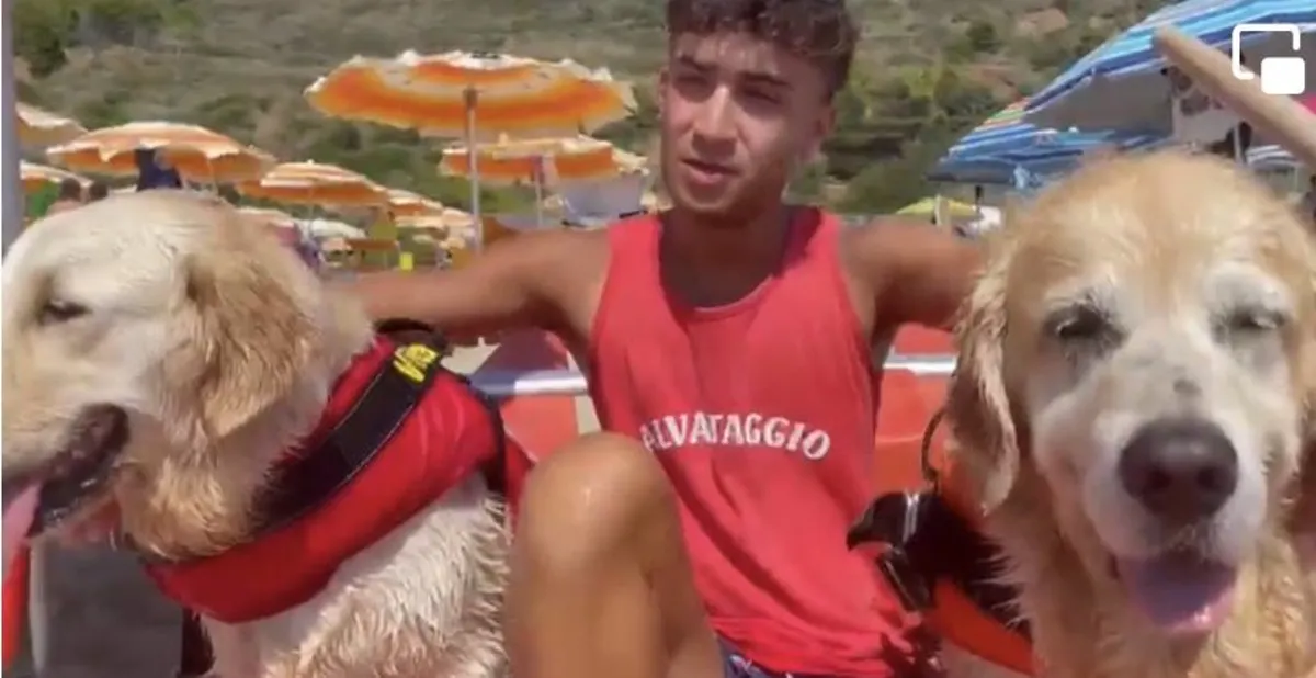 Pedalò affonda a Palinuro, cani salvano 5 ragazzi