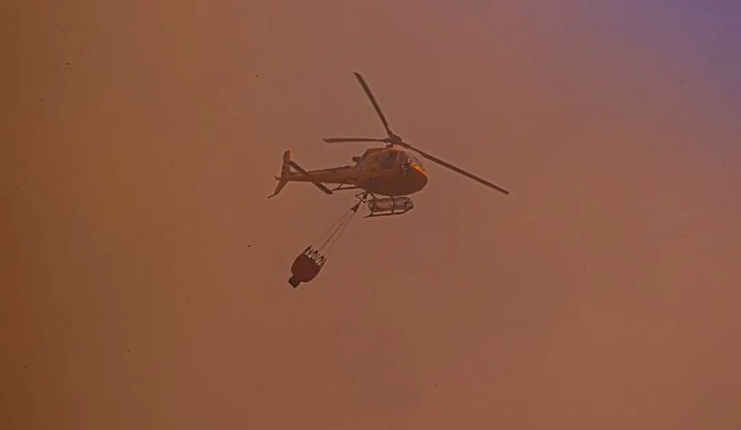 Incendio agli Astroni, 2 persone denunciate: esplosi fuochi d'artificio