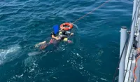 Sub in mare ferito e sanguinante, salvato dalla GdF