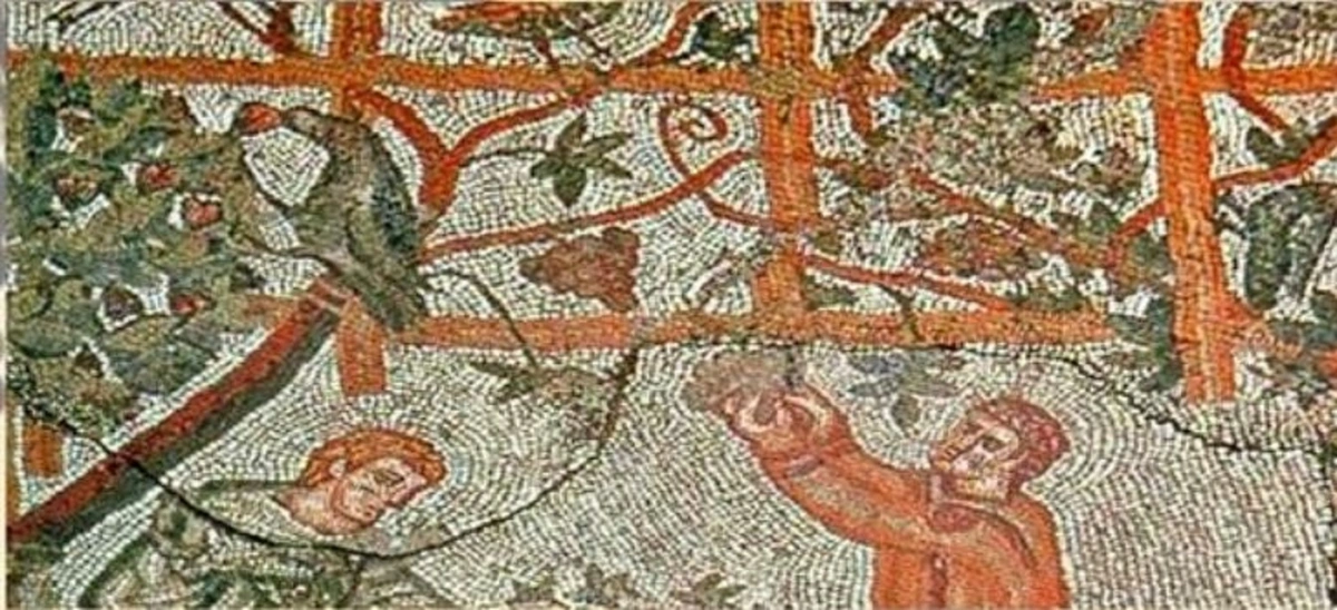 Il vino nell'antica Oplontis, visite guidate Archeoclub