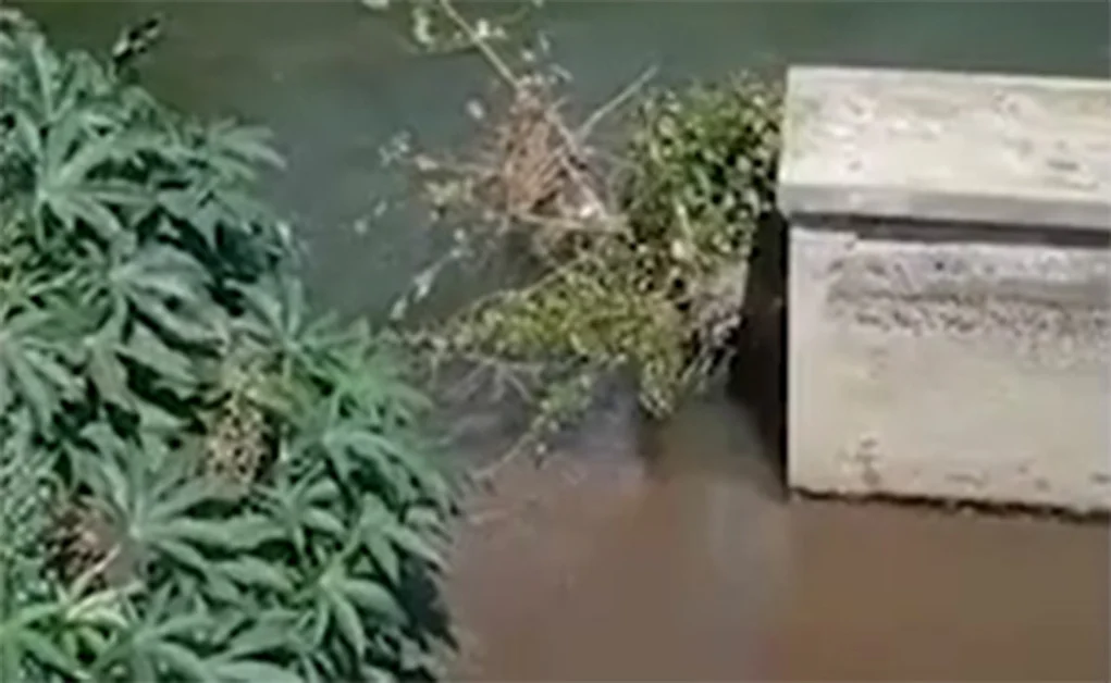 Scafati - Scarichi illegali nel canale San Tommaso. Il Video