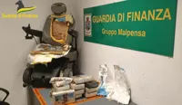 Droga nascosta nella sedia a rotelle, arrestato trafficante finto invalido