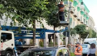 Torre Annunziata - Potatura alberi: divieti di sosta non rispettati