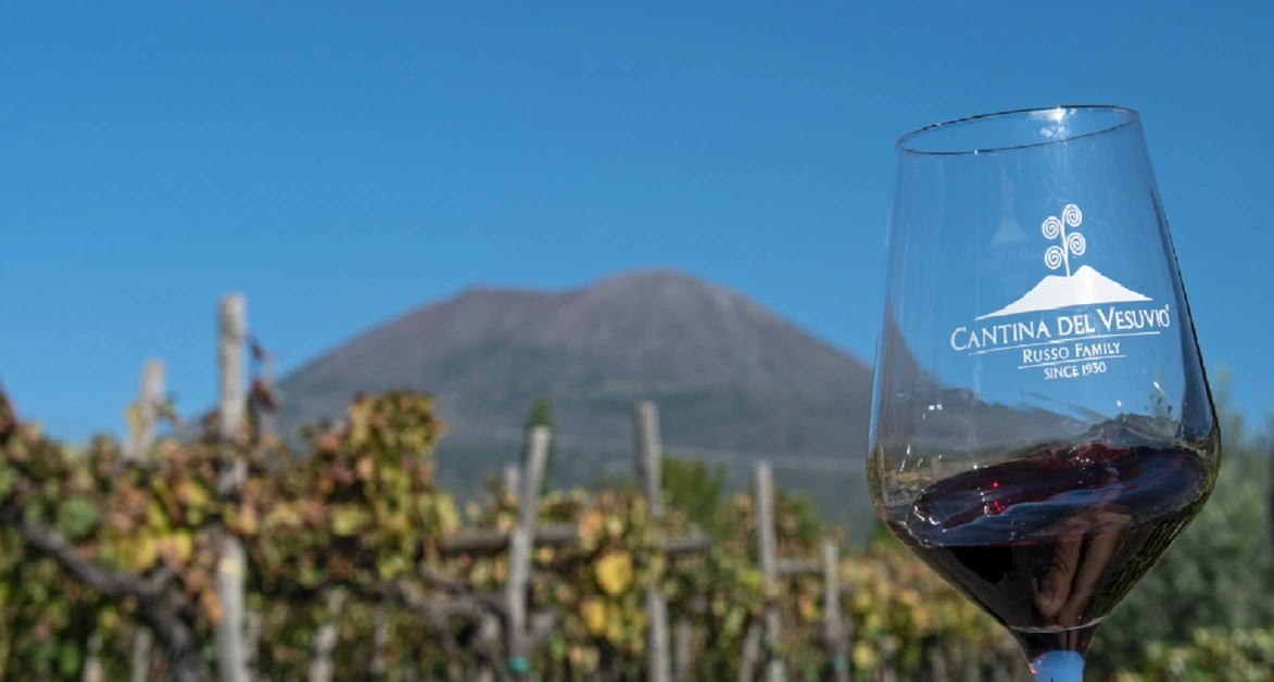 "Cantina del Vesuvio", riconoscimento per prodotto di qualità "bio"