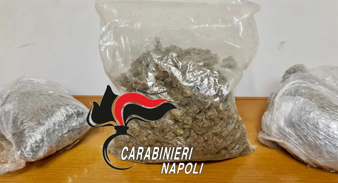 Pimonte - Trovati 3 chili di marijuana in un fusto interrato