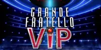 Mediaset: da concorrente del Grande Fratello Vip ad Amici di De Filippi