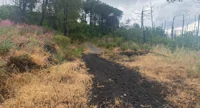 Vesuvio, dall'Ente Parco i fondi per il sentiero n. 12 a Boscotrecase