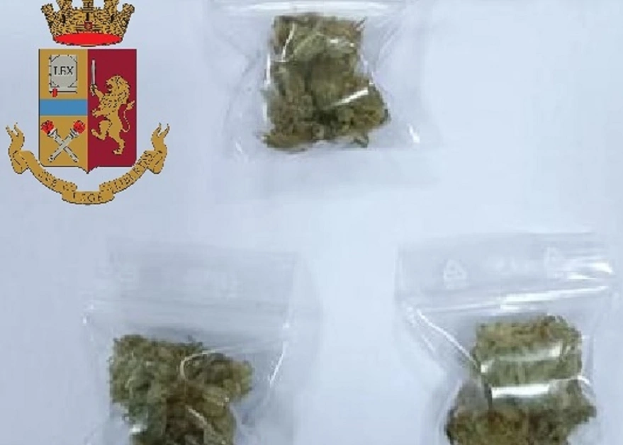 Droga sotto al pavimento, sequestro della Polizia