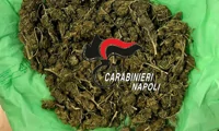 Droga nascosta in un terreno, sequestro ad Anacapri