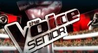 The Voice Senior: chi sono i finalisti e chi i potenziali vincitori