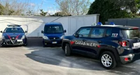 Servizio notturno dei Carabinieri nel Vesuviano: arresti e denunce