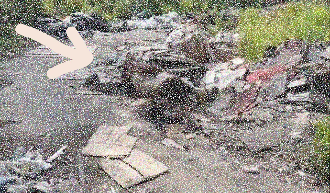 Cadavere di un pony tra i rifiuti, Borrelli: "Sgomenti, nauseati e arrabbiati"