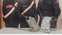 Torre Annunziata - Sequestrato quasi 1 chilo e mezzo di marijuana, due arresti