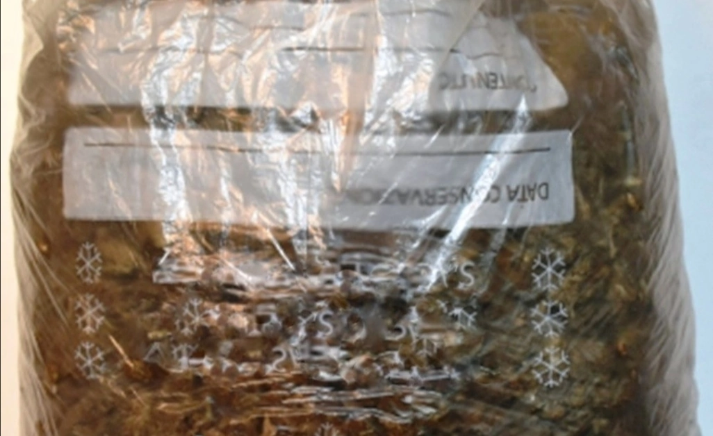 Droga e munizioni sequestrate a Castellammare di Stabia