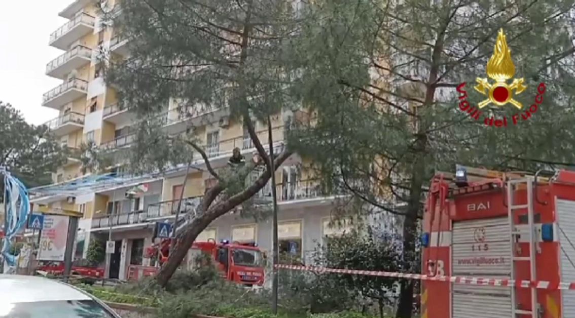 Rami si staccano da un albero per il vento, intervento dei vigili del fuoco
