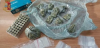 Droga e munizioni nel Parco Apega, sequestri della Polizia a Torre Annunziata