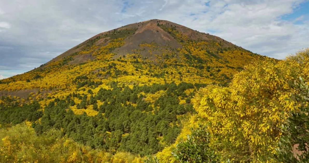 A Trecase il Festival sulla flora vesuviana
