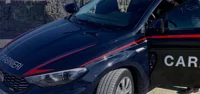 Carabinieri setacciano il Vesuviano: arresti, fermi e una denuncia