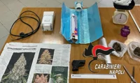 Nuovo blitz sui Lattari, trovata piantagione di cannabis e arrestato un uomo