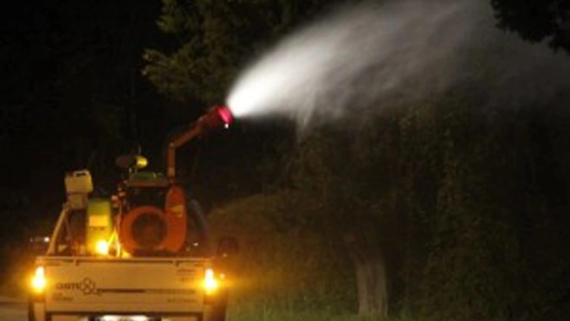 Torre Annunziata - Disinfestazione contro insetti su tutto il territorio
