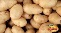 "Patate Coppola", alimento a residuo zero