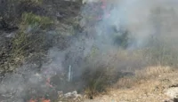 In fiamme 10mila mq di vegetazione sul Vesuvio a Torre del Greco