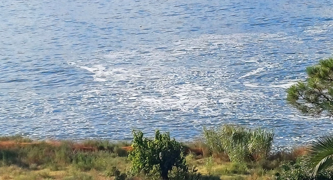 Litorale di Torre Annunziata "violentato". Perché  e cosa si può fare