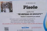 Muore il suo cane e lo ricorda con un manifesto: "In memoria di Pisolo"