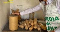 Azienda abusiva di fuochi pirotecnici sequestrata nel Casertano